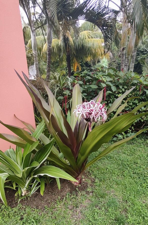 Bencastle Villa Gros Islet Exterior photo